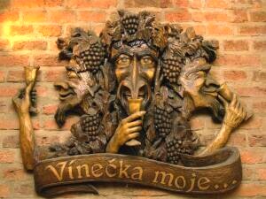 VineckaMoje